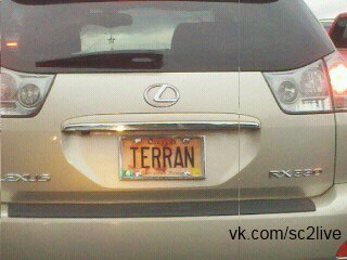Номерной знак Терран